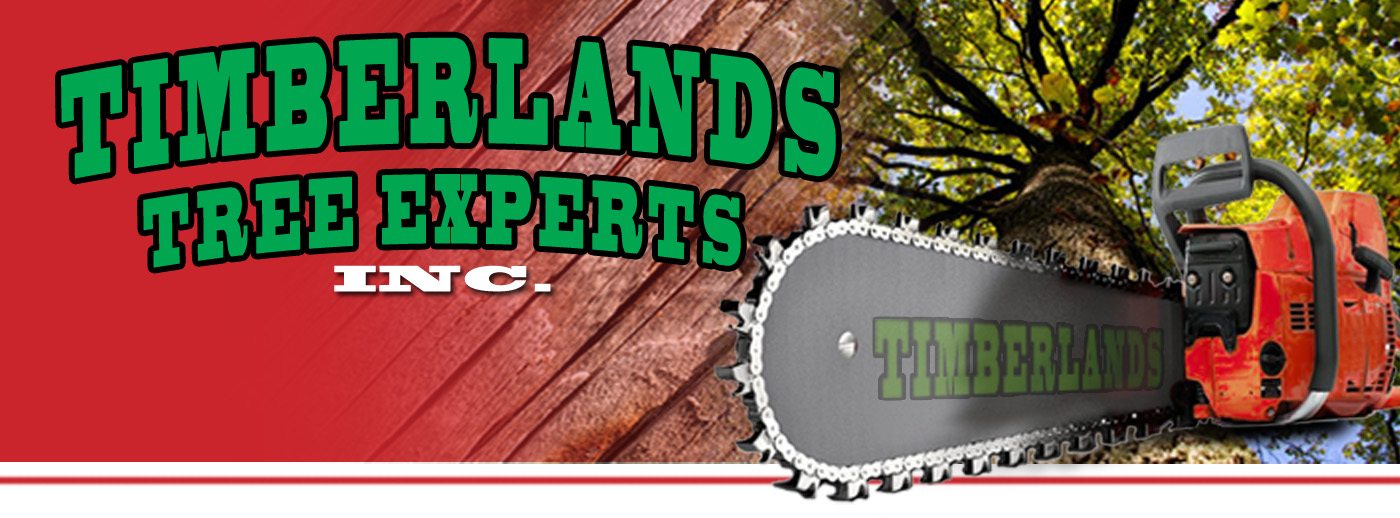 Timberlands Tree Experts Inc. Logo