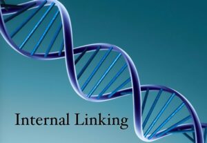 Internal Linking Plan