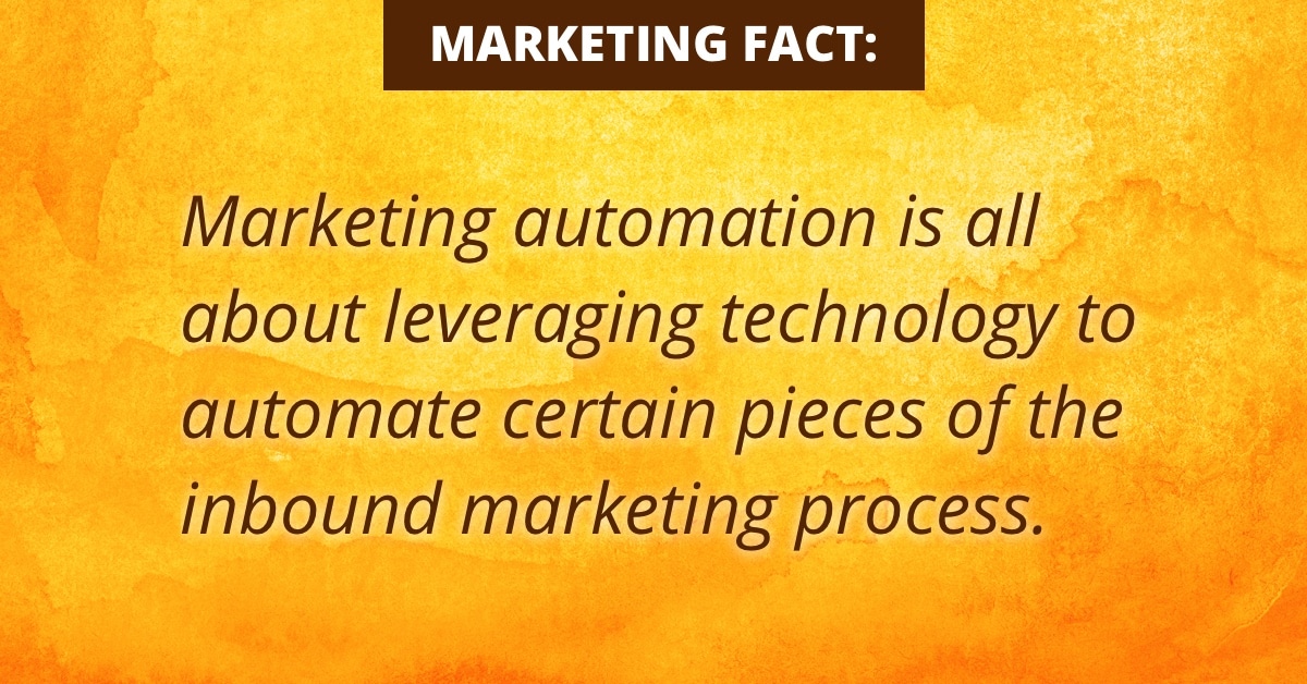 Marketing-Automation-Snippet-2