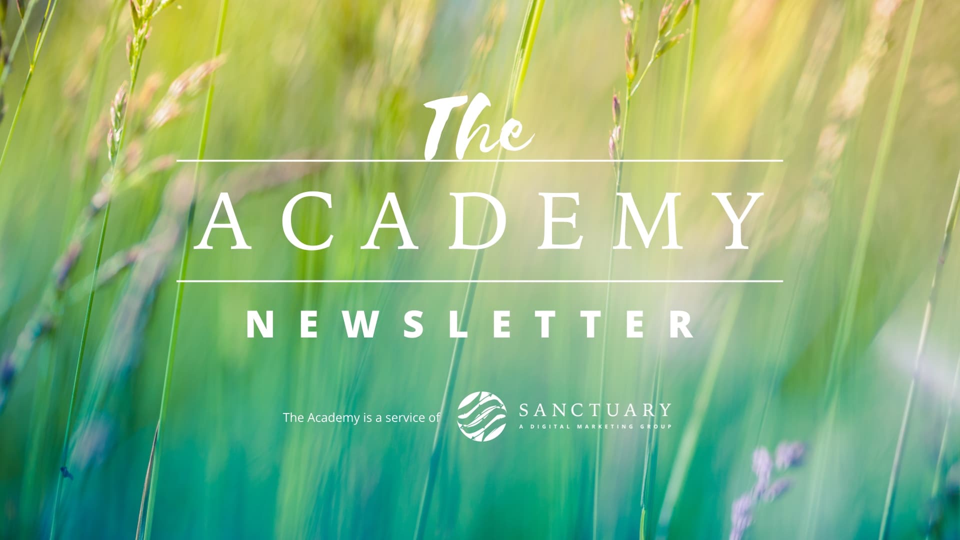 The Academy - Newsletter9