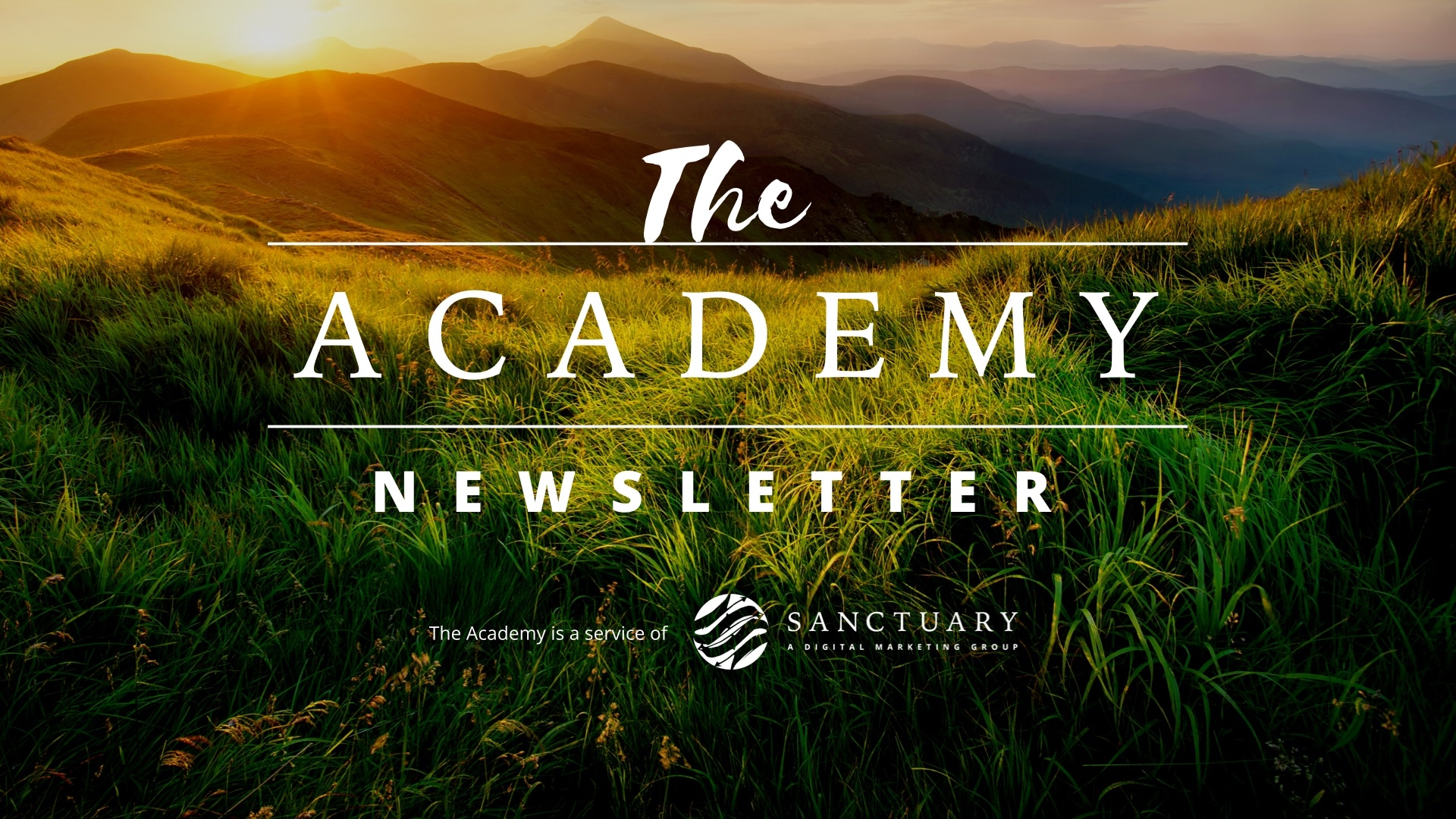 The Academy - Marketing Newsletter3