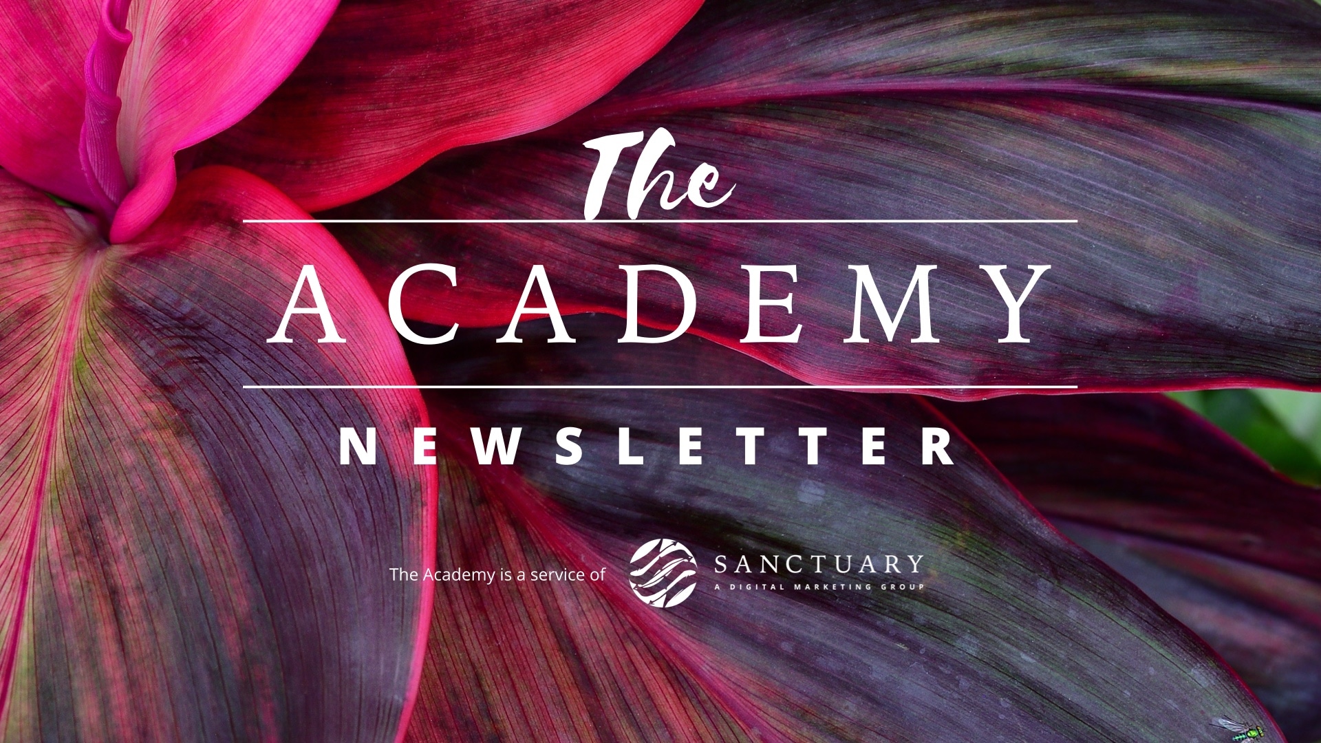 The Academy - Newsletter5