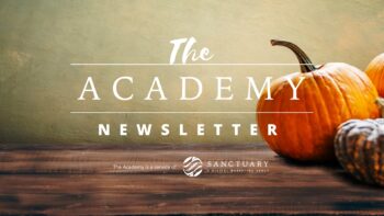 The Academy - Newsletter7