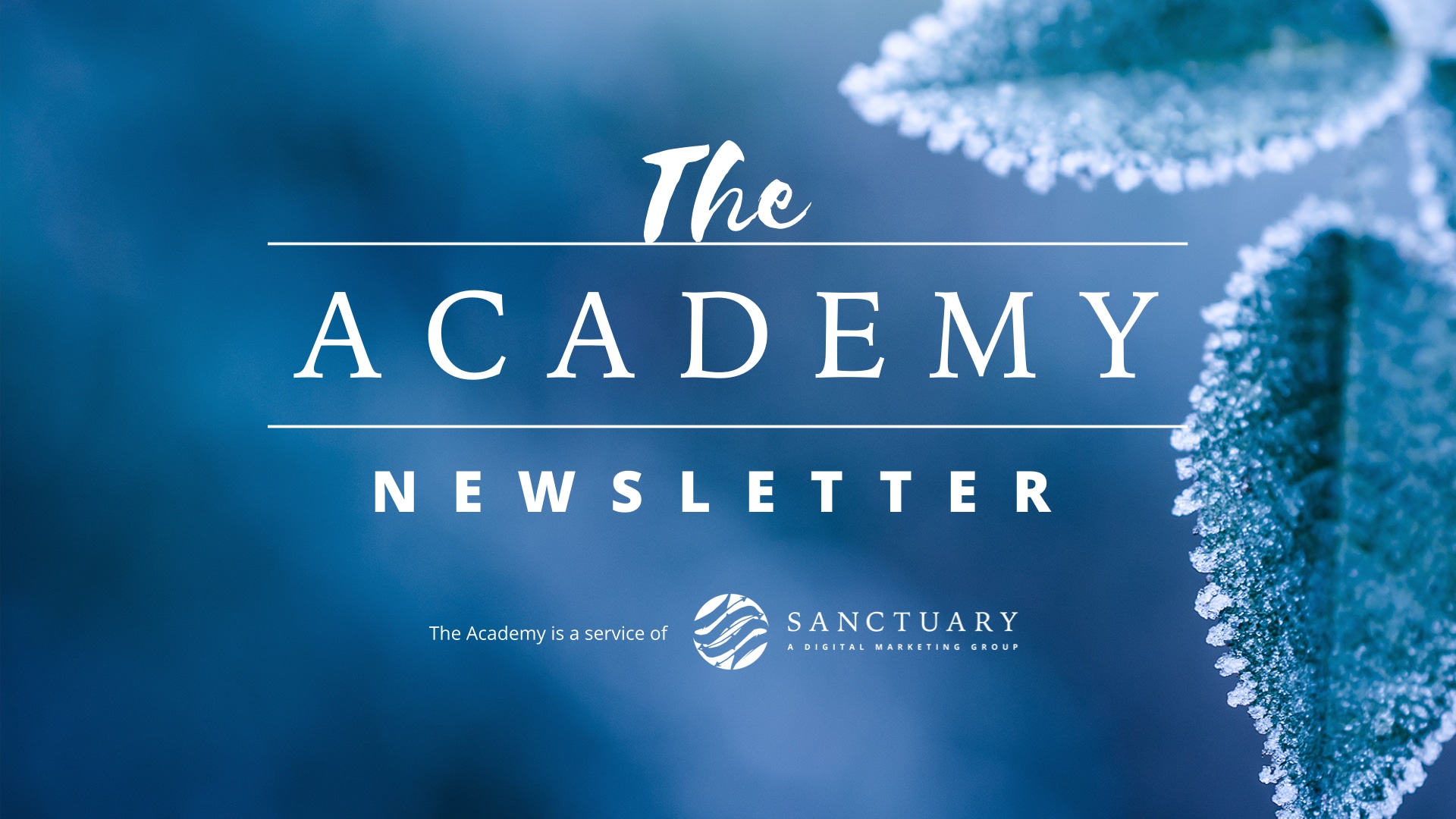 The Academy - Newsletter 022022