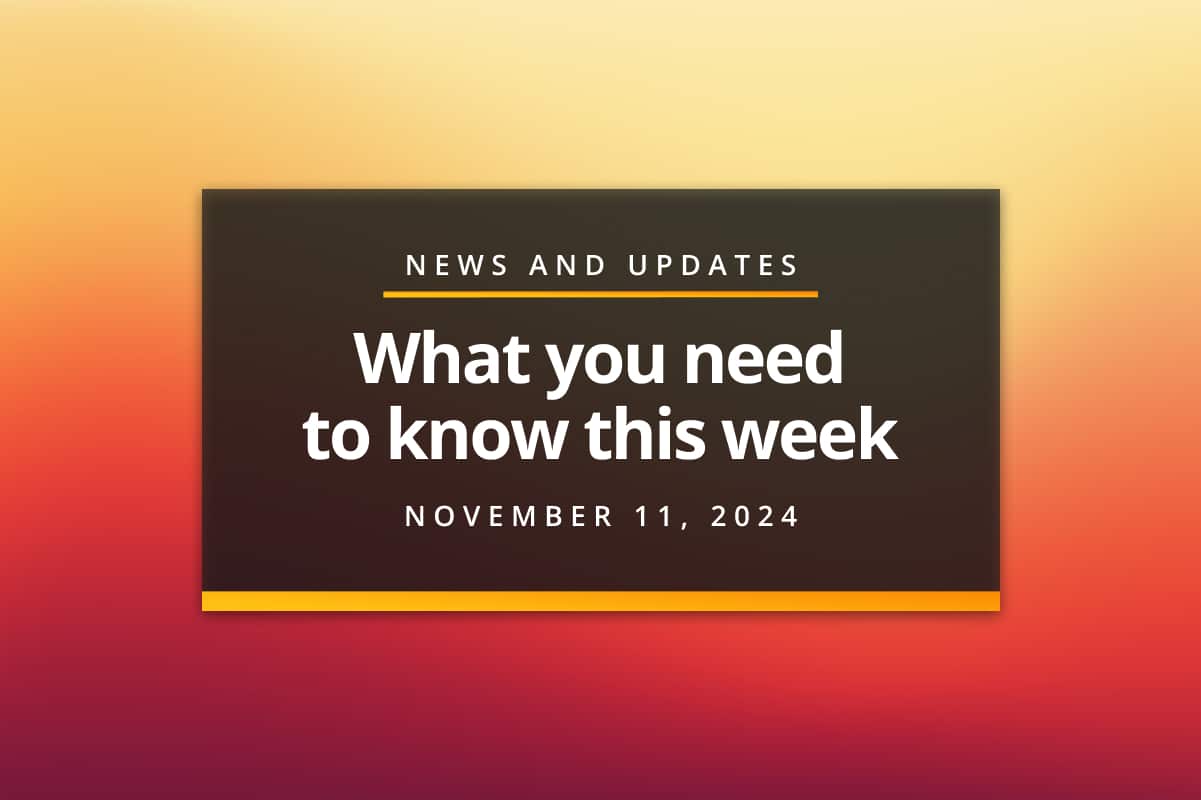Digital Marketing and Business Growth News - 11-11-2024