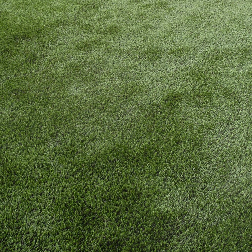 Grass BG