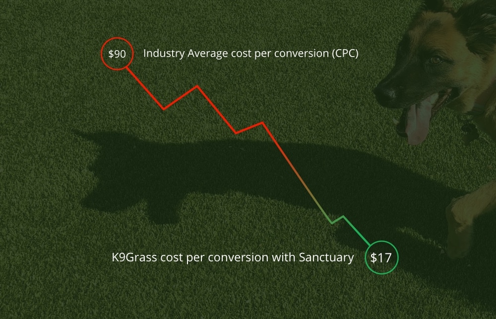 k9grass-case-study-featured-image-01