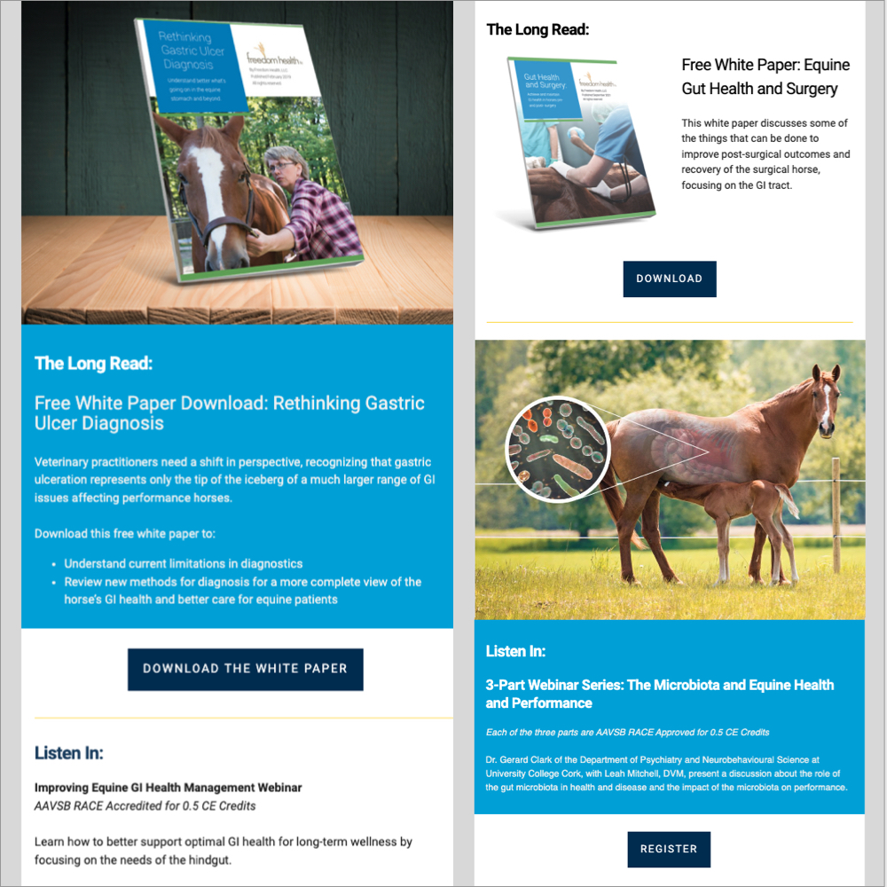 FreedomHealth Newsletter Case Study FreedomHealth Newsletter Case Study