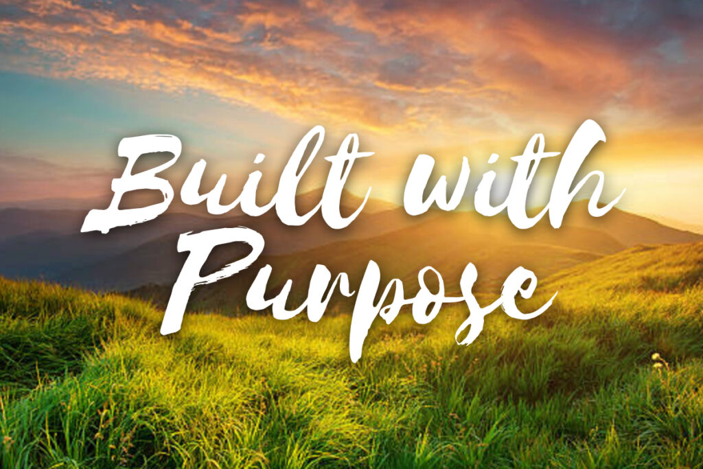 Built with purpose