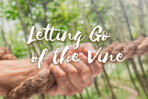 Letting go of the vine